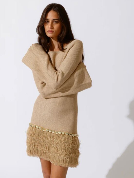 The Wolf Gang Dresses & Skirts - Casilda Mini Dress Wolf Gang